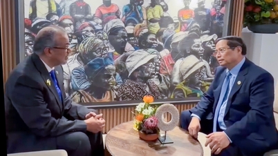 Be om støtte fra WHO til sykdomsforebygging etter historiske stormer og flom