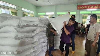 Екстрене виділення майже 100 мільярдів донгів для подолання збитків від повені