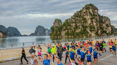 Khai mạc đường chạy Giải Marathon Quốc Tế Di Sản Hạ Long 2025