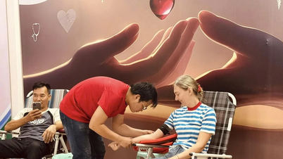 Khanh Hoa: Több mint 100 külföldi turista adott vért az elárasztott területeken élők megmentésére