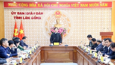 Lam Dong sürgősen forrásokat gyűjt az árvizek következményeinek elhárítására