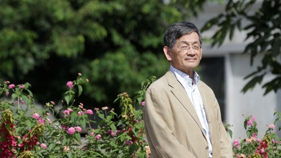 Professeur de mathématiques, docteur depuis l'âge de 24 ans, il a contribué à faire connaître les mathématiques vietnamiennes au monde entier.