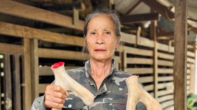 'हा तिन्ह में हिरण पालन पेशे से गरीबी से बचने की कुंजी'