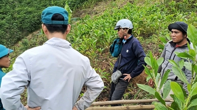 Pegawai komune La Dee segera membawa mangsa yang pengsan di lapangan ke bilik kecemasan.