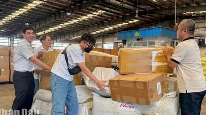 Les compagnies aériennes apportent leur soutien aux passagers et acheminent gratuitement des marchandises pour venir en aide aux populations des zones sinistrées par les inondations.