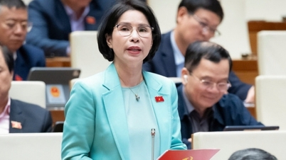 Ministrul Educației și Formării Profesionale, Nguyen Kim Son: Ministerul nu se amestecă profesional în formarea medicală.