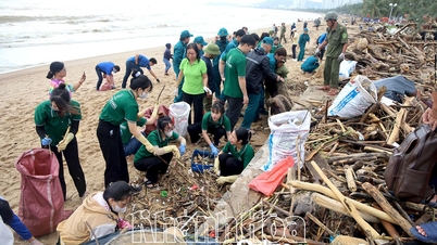 ニャチャン区、洪水後のビーチの清掃作業