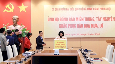 हनोई: नेशनल असेंबली और पीपुल्स काउंसिल के प्रतिनिधिमंडल ने सेंट्रल और सेंट्रल हाइलैंड्स प्रांतों में लोगों को समर्थन देने के लिए एक अभियान शुरू किया।