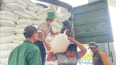 जिया लाई, डाक लाक, लैम डोंग को 4,000 टन राष्ट्रीय आरक्षित चावल जारी करना