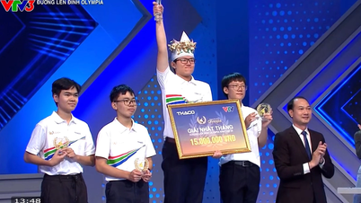 Tran Vo Gia Bao dotarł do ćwierćfinału Road to Olympia 2026