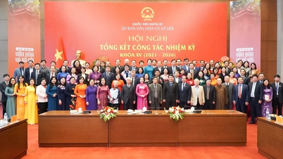 Výbor pro kulturu a společnost dokončil mnoho důležitých politik v oblasti zdravotnictví, vzdělávání a sociálního zabezpečení.