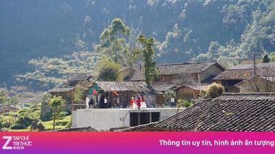 Nya nyheter om mäklare som behåller rum och tredubblar priserna i Lo Lo Chai