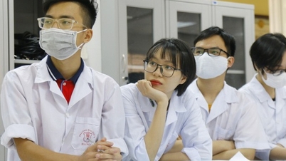 Draft Law on Higher Education: Don't let doctors be trained according to administrative procedures instead of professional procedures