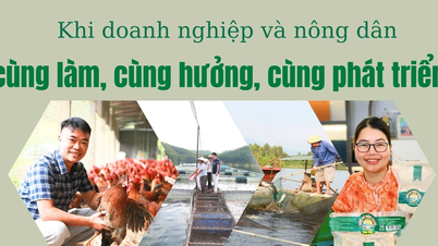 Kiedy firmy i rolnicy współpracują, cieszą się razem i rozwijają się razem