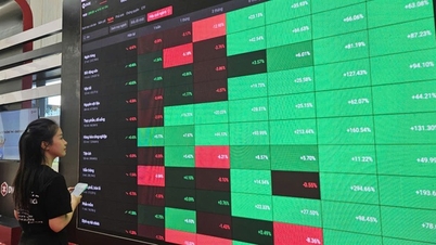 다음 주에 대한 최신 예측은 '의심 속에서 주가가 상승'하고 있다는 것입니다.