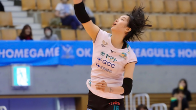 Thanh Thuy błyszczy, wprowadzając Gunma Green Wings Club do pierwszej piątki japońskiej ligi siatkówki