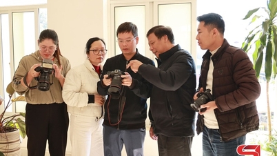 การฝึกอบรมและแลกเปลี่ยนทักษะวิชาชีพด้านการถ่ายทำภาพยนตร์และการถ่ายภาพ