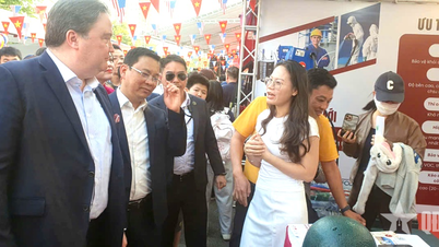 Numeroase activități culturale speciale la Festivalul Prieteniei SUA - Vietnam