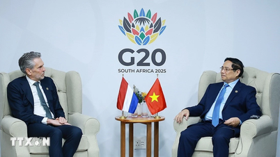 Başbakan Pham Minh Chinh, Hollanda Başbakanı ve Singapur Başbakanı ile görüştü