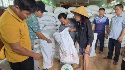 Tuy An Nam przeznaczył 80 ton ryżu na pomoc ludziom dotkniętym powodzią.