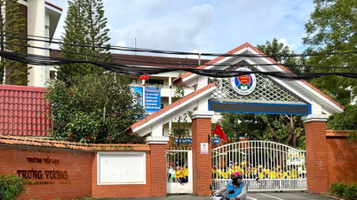 Громадяни засуджують «брудну їжу, що контрабандою ввозиться до шкіл»: усі партійні посади директорів звільнені