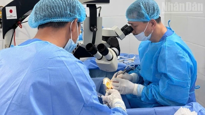 Viaje para restaurar la visión de los pobres