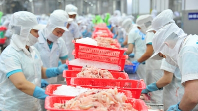 Dong Thap boekt vooruitgang in begrotingsinning, trekt investeringen aan en creëert meer dan 55.000 banen