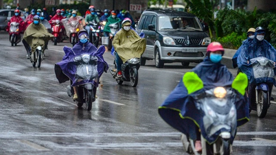 اشتداد الهواء البارد، والشمال بارد طوال اليوم، والوسطى تستمر في هطول الأمطار الغزيرة