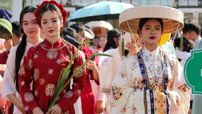 ไฮฟองยกย่องอ่าวหญ่ายของชาวเวียดนาม