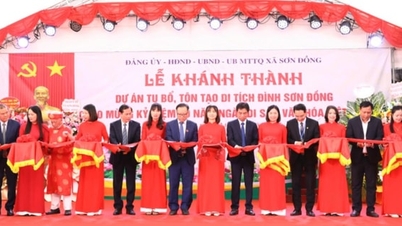 সন ডং পরিবারের জাতীয় নিদর্শন পুনরুদ্ধার এবং অলঙ্কৃত করার প্রকল্পের উদ্বোধন