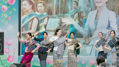 Un échange culturel passionnant et enrichissant : « Cultiver l'amitié Vietnam-Laos »