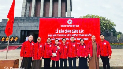 Dong Nai hat 9 Personen, die beim Nationalen Patriotischen Wettbewerbskongress des Vietnamesischen Roten Kreuzes ausgezeichnet wurden.