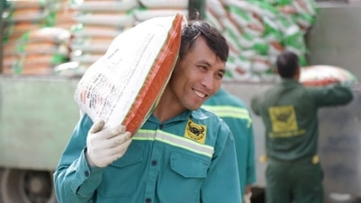 בין דין מעניקה 1,600 חבילות מחיה כדי לסייע לחקלאים בתאן הואה לאחר סופות ושיטפונות