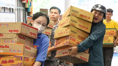 Des jeunes de Hô Chi Minh-Ville aident la province de Khanh Hoa à surmonter les dégâts causés par les inondations.