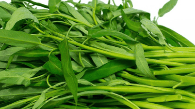 Овочі, додані до страви з морепродуктів, роблять її більш поживною, неймовірно смачною та запобігають всмоктуванню жиру.