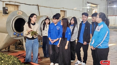 بازدید کنید و درباره مدل‌های معمول استارتاپ‌های جوانان اطلاعات کسب کنید