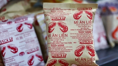 Regjeringen ønsker å selge kapitalen i det nasjonale nudelselskapet «2 shrimp», og prisen vekker oppsikt.