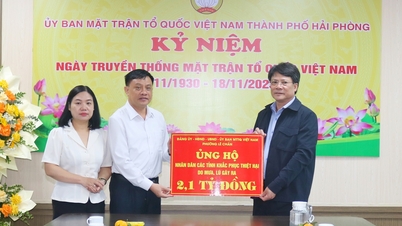 Front Tanah Air Kota Hai Phong menyerukan dukungan bagi warga di Dataran Tinggi Tengah untuk mengatasi dampak banjir