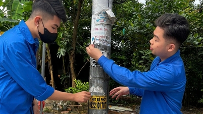 Hai Phongs ungdomsförbund lanserade Grön söndag 2025
