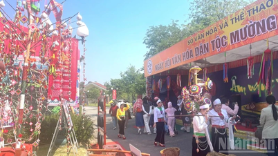 Festival em homenagem aos valores culturais Muong