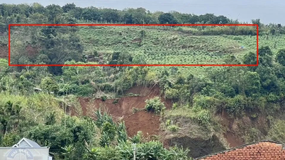 Lam Dong: Penurunan tanah, banyak rumah tangga dievakuasi segera