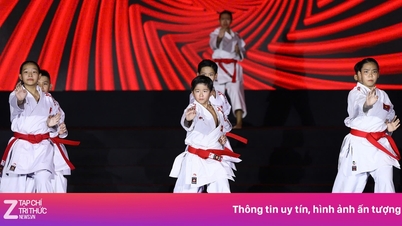 호치민시 국제무술축제, 많은 감동으로 마무리