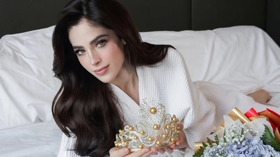 Cette victoire retentissante a permis à la nouvelle Miss Univers de devenir une star du jour au lendemain.