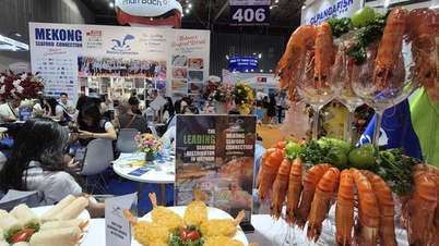 چین ویتنامی جھینگا درآمد کرنے پر 1.1 بلین امریکی ڈالر خرچ کرتا ہے۔