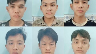 Procesamiento de un grupo de sujetos que causaron lesiones intencionalmente en Vinh An