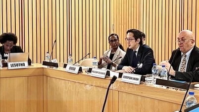 Vietnam leder den afrikanske regionale konsultasjonskonferansen om ikke-spredning av atomvåpen