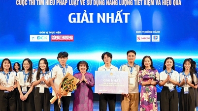 에너지 법칙을 이해하기 위해 전기 절약 상황을 극화합니다.