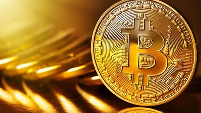 ตลาดคริปโตเคอร์เรนซีวันนี้ 23 พฤศจิกายน: คึกคักเมื่อ Bitcoin ดีดตัวกลับ