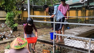 Dak Lak: Maestros y estudiantes se arremangan para limpiar la escuela después de la inundación
