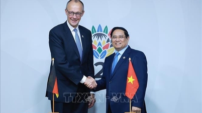 Прем'єр-міністр Фам Мінь Чінь зустрівся з прем'єр-міністрами Німеччини, Єгипту та Норвегії